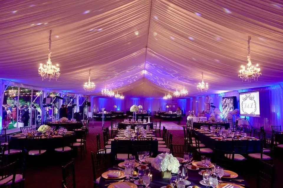 Moonlight Grove copy